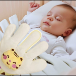 008022025 palma calma